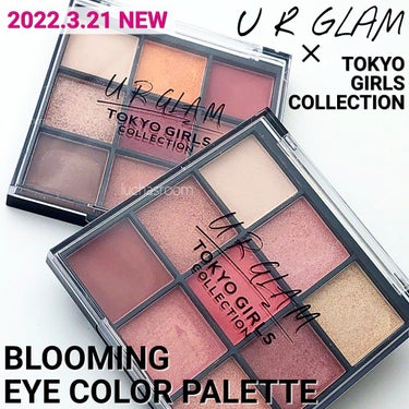 UR GLAM　BLOOMING EYE COLOR PALETTE/U R GLAM/アイシャドウパレットを使ったクチコミ（1枚目）