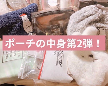 みんなのポーチ事情/その他を使ったクチコミ(1枚目)