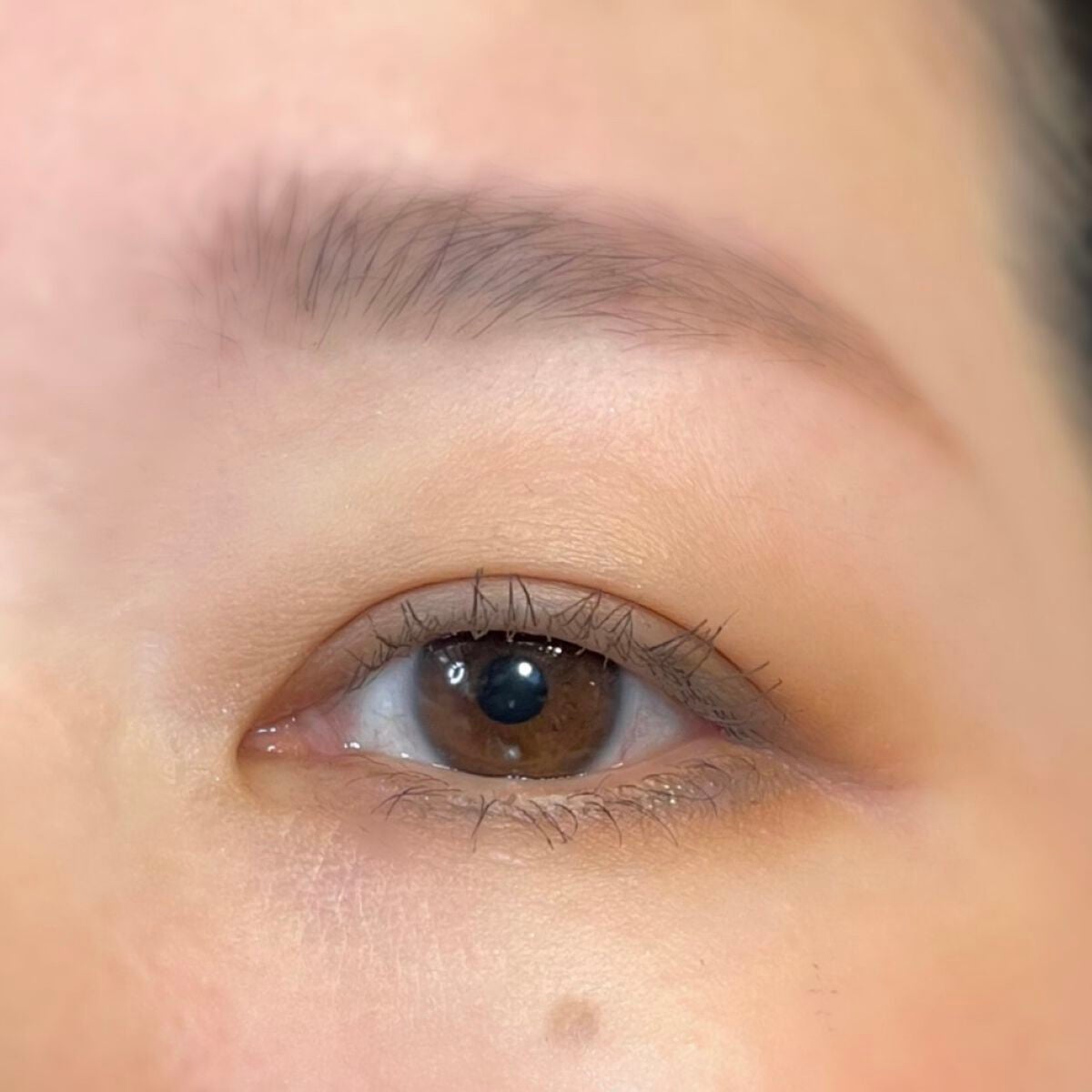 シグニチャー カラー アイズ/SUQQU/アイシャドウパレットを使ったクチコミ(3枚目)