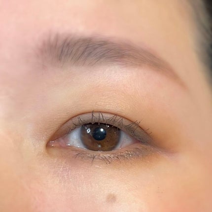 シグニチャー カラー アイズ 12 胡桃染 -KURUMIZOME/SUQQU/アイシャドウパレットを使ったクチコミ(3枚目)