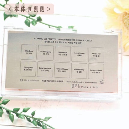 プロ アイ パレット/CLIO/アイシャドウパレットを使ったクチコミ(8枚目)