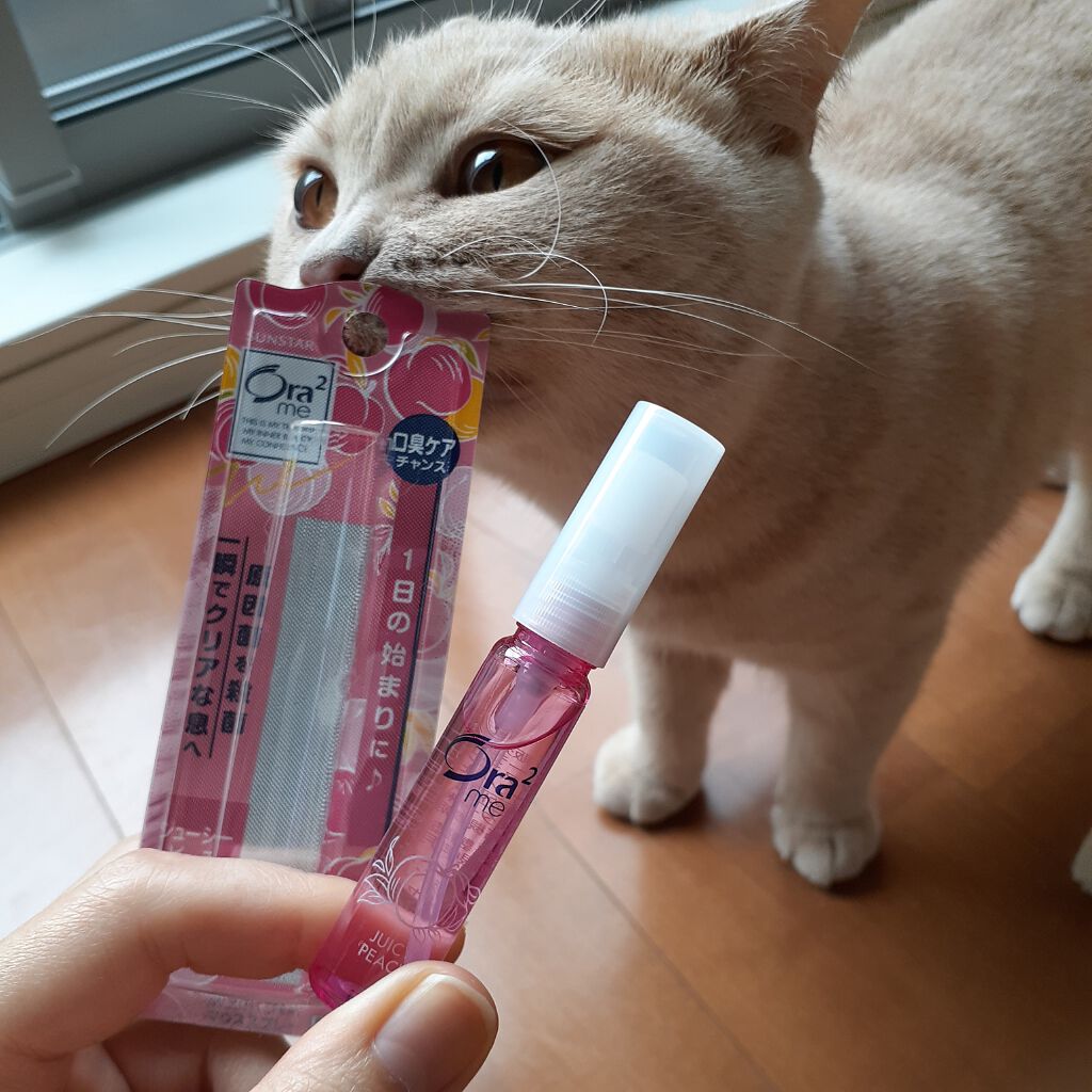 ブレスファイン マウススプレー/オーラツー/マウスウォッシュ・スプレーを使ったクチコミ(1枚目)