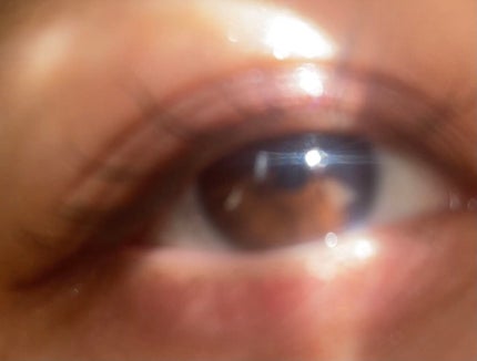 RIRI on LIPS 「廃盤が決まっているセザンヌ/シングルカラーアイシャドウ02ニュ..」(3枚目)