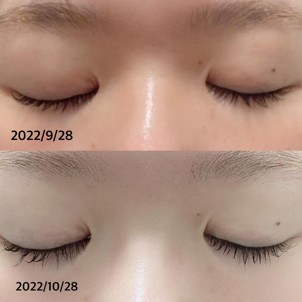 トゥルーアイラッシュセラム/mude/まつげ美容液を使ったクチコミ(4枚目)