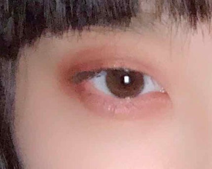 【旧品】パーフェクトスタイリストアイズ/キャンメイク/アイシャドウパレットを使ったクチコミ(2枚目)