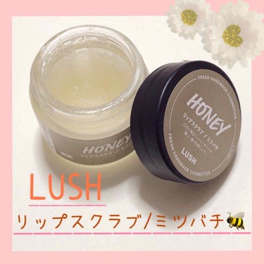 🌱しっとりプルン！とした唇に……💋
LUSH「リップスクラブ/ミツバチ」

唇の皮剥け剥け芸人さんにオススメ！！
LUSHのリップスクラブのレビューです⸜(๑⃙⃘'ω'๑⃙⃘)⸝

------ ✂︎ 