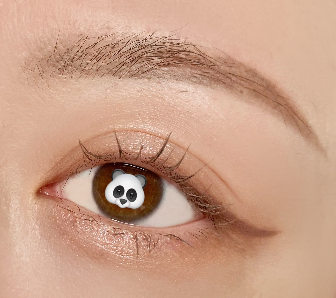 クリーミータッチライナー/キャンメイク/ジェルアイライナーを使ったクチコミ(2枚目)