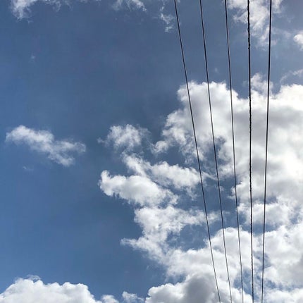 白潤プレミアム薬用浸透美白化粧水/肌ラボ/化粧水を使ったクチコミ(1枚目)