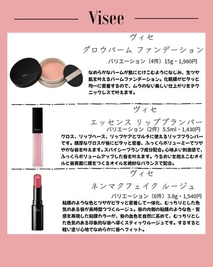 ヴィセ リシェ アイブロウパウダー/Visée/パウダーアイブロウを使ったクチコミ(3枚目)