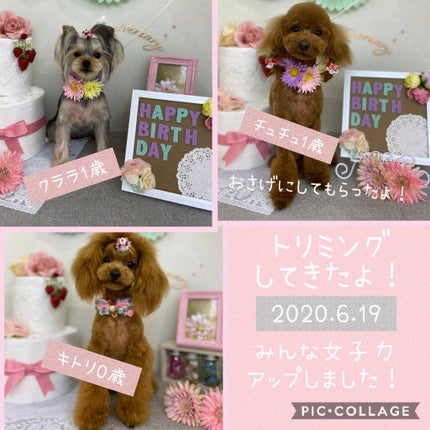 ジェルミーワン はがせるベース/ジェルミーワン/ジェルネイルを使ったクチコミ(3枚目)