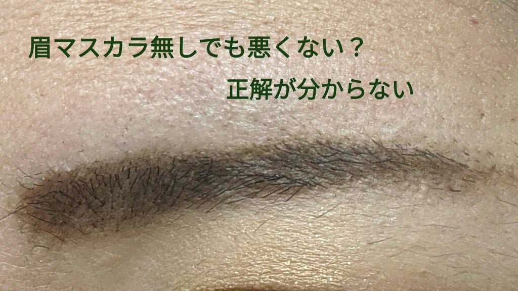 ノーズ&アイブロウパウダー/CEZANNE/パウダーアイブロウを使ったクチコミ(5枚目)