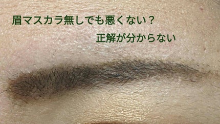 ノーズ&アイブロウパウダー/CEZANNE/パウダーアイブロウを使ったクチコミ(5枚目)