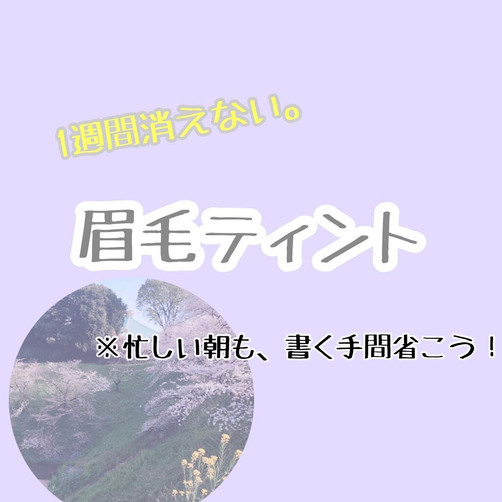 セブンデイズ アイブロウティント/MISSHA/眉ティントを使ったクチコミ(1枚目)