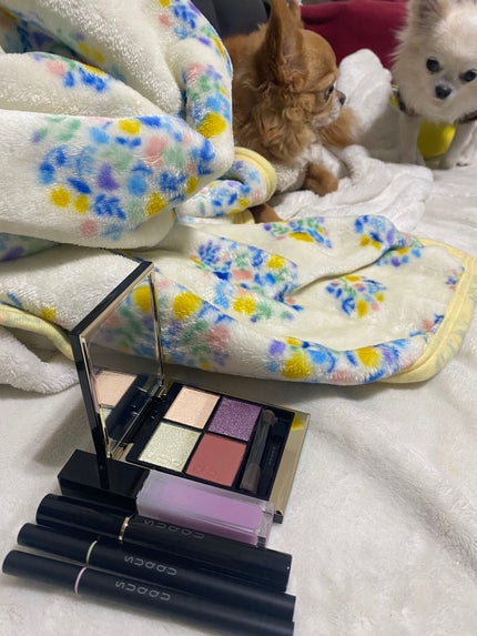 デザイニング カラー アイズ/SUQQU/アイシャドウパレットを使ったクチコミ(4枚目)