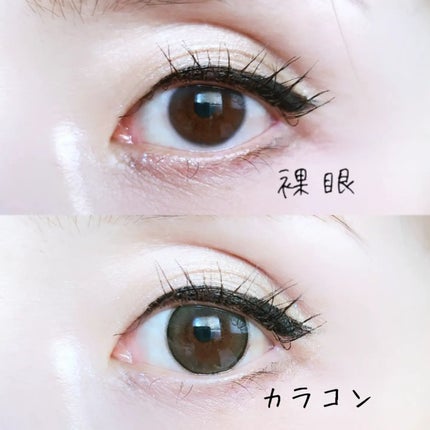 エバーカラーワンデーミリモア/エバーカラー/ワンデー(1DAY)カラコンを使ったクチコミ(10枚目)