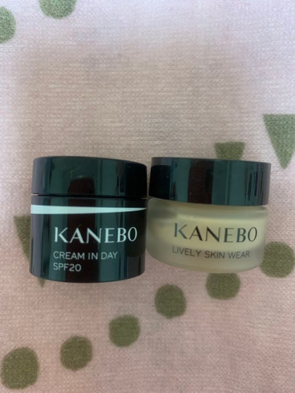 クリーム イン デイ/KANEBO/フェイスクリームを使ったクチコミ(1枚目)