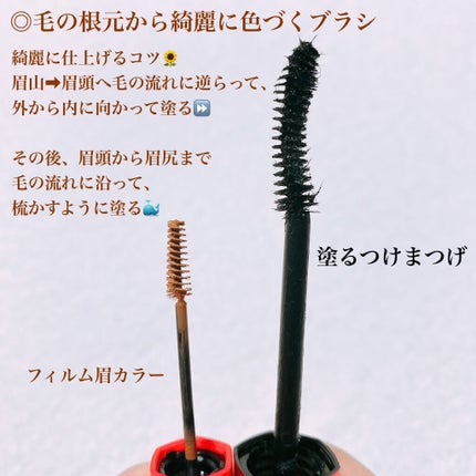 ãã£ã«ã çã«ã©ãŒ/ããžã£ãŽã¥/çãã¹ã«ã©ã䜿ã£ãã¯ãã³ãïŒ4æç®ïŒ