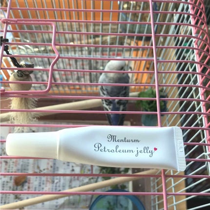 ワセリンリップ/メンターム/リップクリームを使ったクチコミ(1枚目)