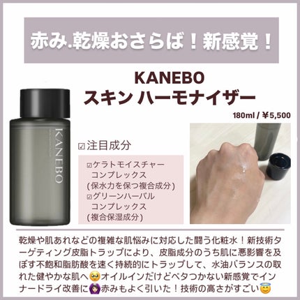 スクラビング マッド ウォッシュ/KANEBO/洗顔フォームを使ったクチコミ(7枚目)