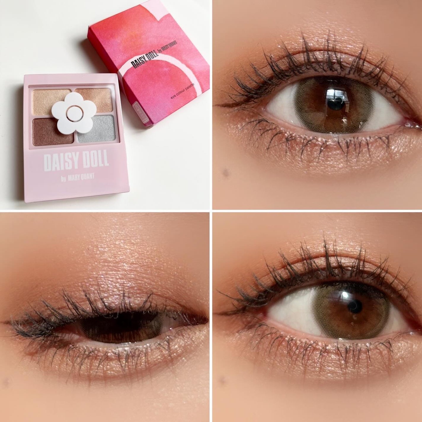 デイジードール アイカラー パレット/DAISY DOLL by MARY QUANT/アイシャドウパレットを使ったクチコミ(1枚目)