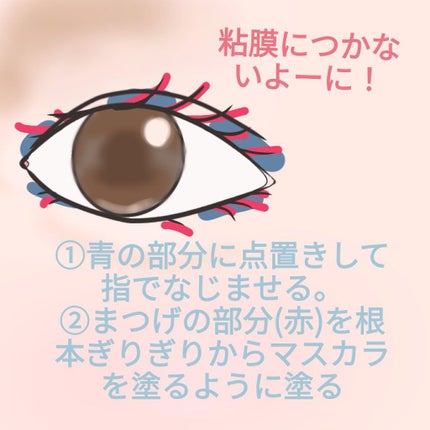 まつげ美容液EX/CEZANNE/まつげ美容液を使ったクチコミ(3枚目)
