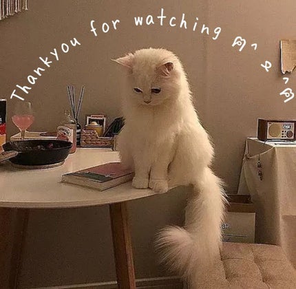 プロ アイ パレット/CLIO/アイシャドウパレットを使ったクチコミ(8枚目)