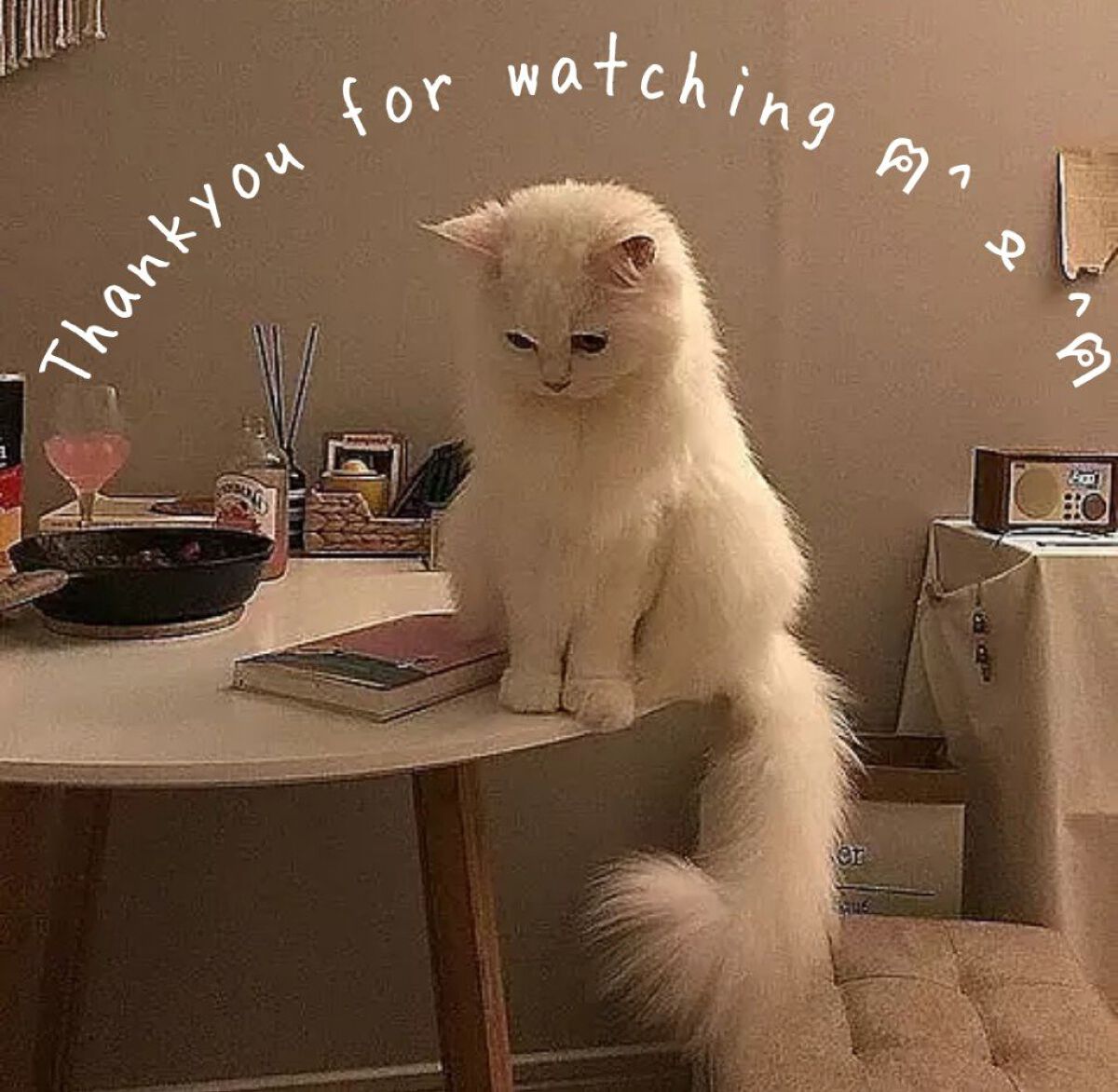 ハトムギ化粧水(ナチュリエ スキンコンディショナー R )/ナチュリエ/化粧水を使ったクチコミ(5枚目)