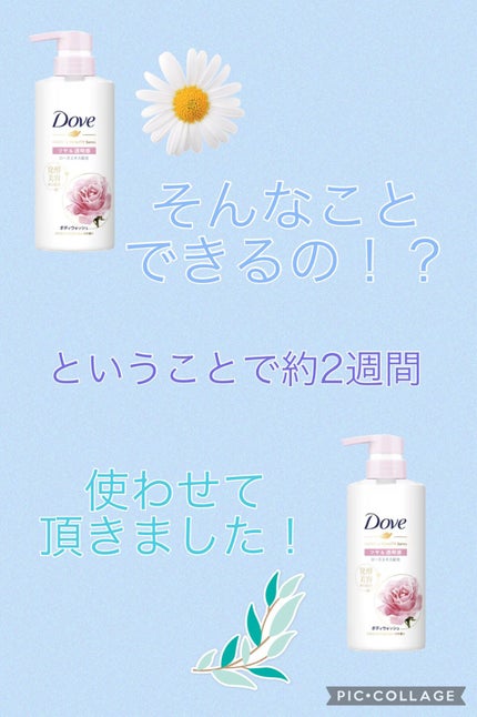 ããã£ãŠã©ãã·ã¥ çºé
µïŒãã¥ãŒãã£ãŒã·ãªãŒãº ãã€ïŒéææ/ããŽ/ããã£ãœãŒãã䜿ã£ãã¯ãã³ãïŒ2æç®ïŒ