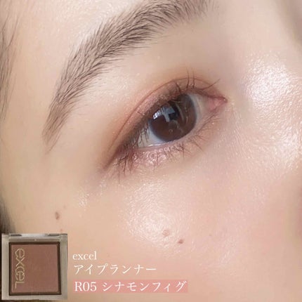 アイプランナー/excel/単色アイシャドウを使ったクチコミ(1枚目)