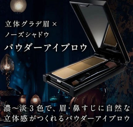 ケイト デザイニングアイブロウ3D/KATE/パウダーアイブロウを使ったクチコミ(1枚目)