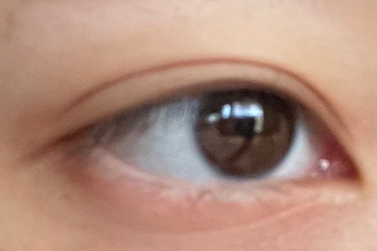 パーフェクトマルチアイズ/キャンメイク/アイシャドウパレットを使ったクチコミ(2枚目)