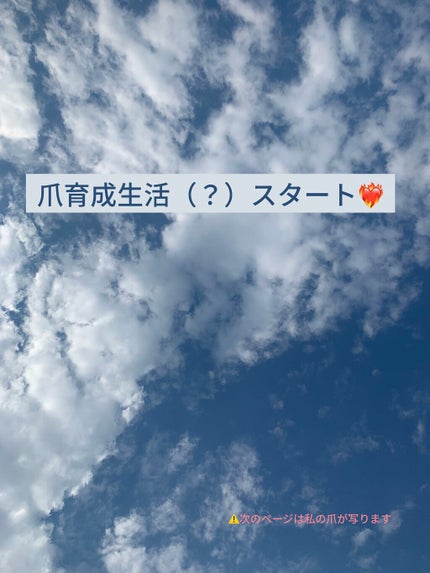 ネイルトリートメント N/ネイルネイル/ネイルオイル・トリートメントを使ったクチコミ(1枚目)