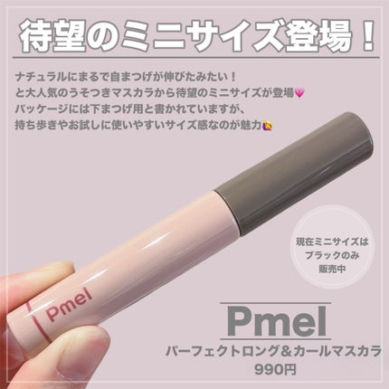 ピメル パーフェクトロング&カールマスカラ ミニ/pdc/マスカラを使ったクチコミ(2枚目)