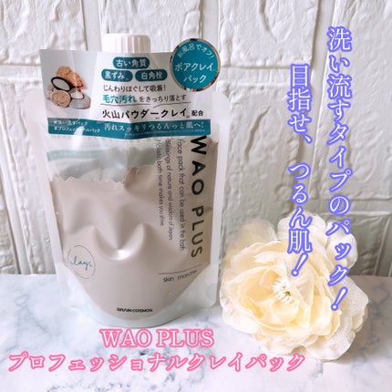 skinmarche WAOPLUS プロフェッショナルクレイパック/ブレーンコスモス/洗い流すパック・マスクを使ったクチコミ(1枚目)