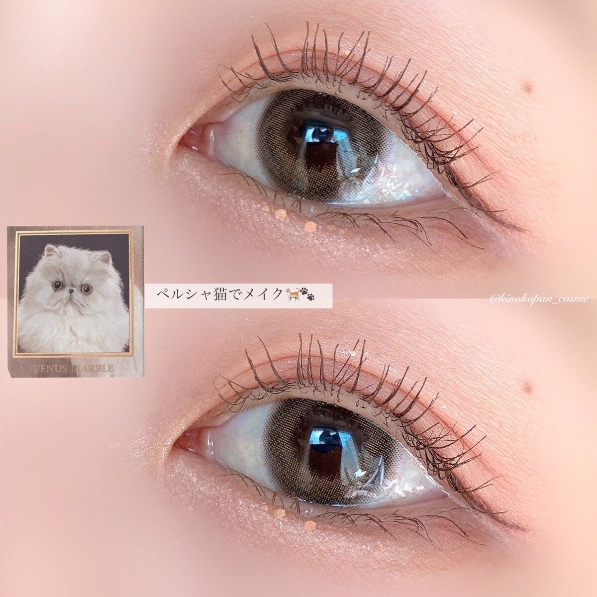 Venus Marble アイシャドウキャットシリーズ/Venus Marble/アイシャドウパレットを使ったクチコミ(8枚目)