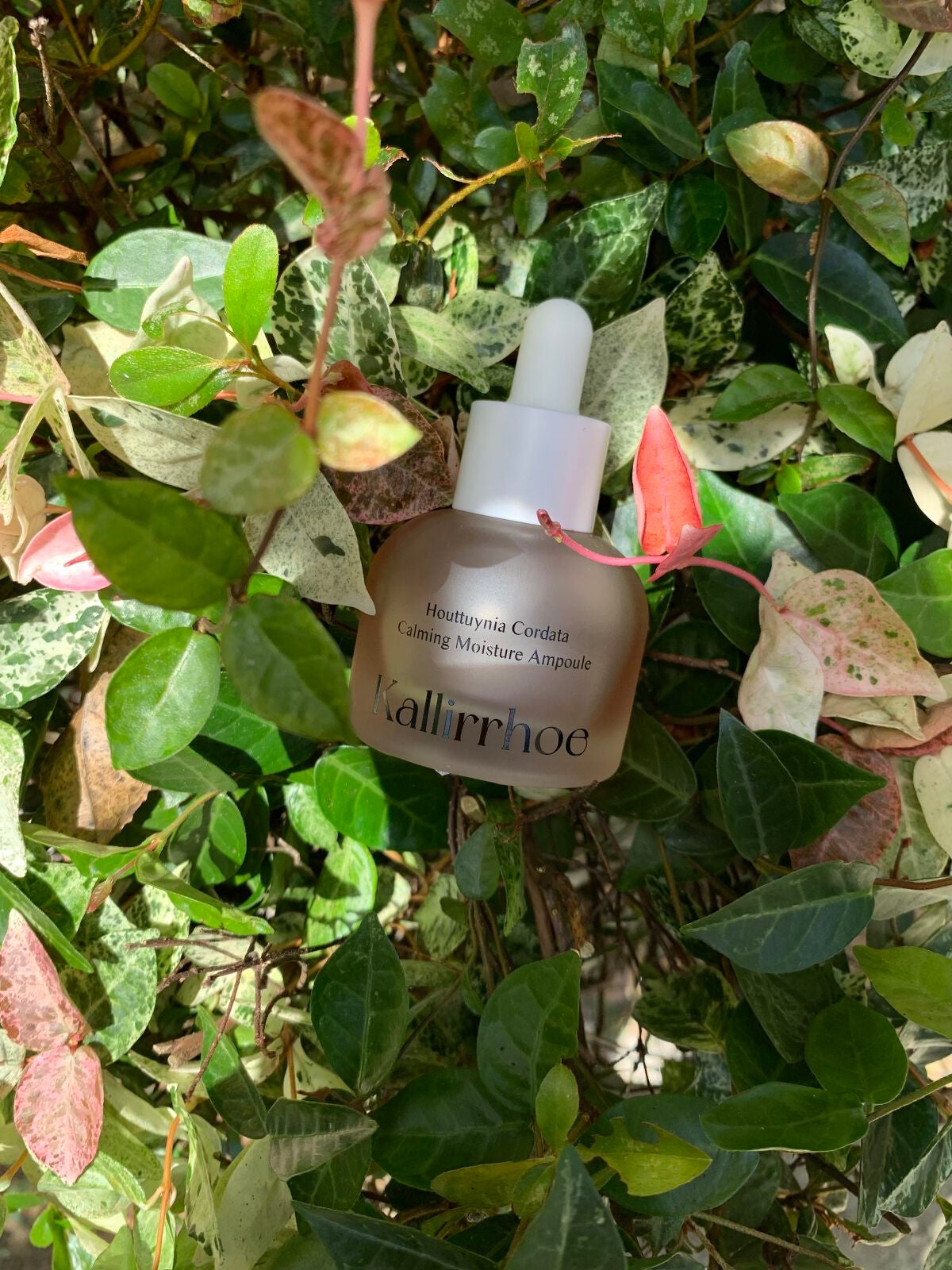 ドクダミ カーミング モイスチャー アンプル/kallirrhoe/美容液を使ったクチコミ(5枚目)