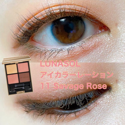 アイカラーレーション/LUNASOL/アイシャドウパレットを使ったクチコミ(1枚目)