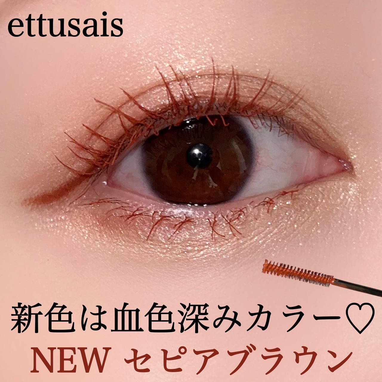 エテュセ アイエディション(マスカラ)/ettusais/マスカラを使ったクチコミ（1枚目）