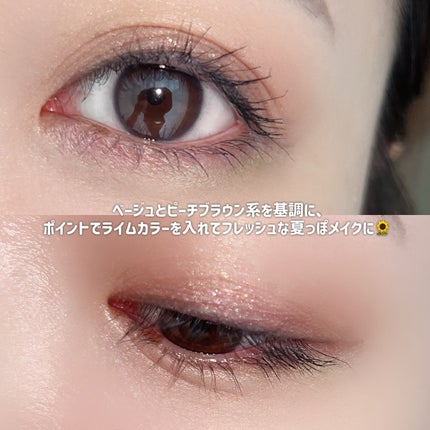 エクスプローラ12色 動物アイシャドウパレット/PERFECT DIARY/アイシャドウパレットを使ったクチコミ(6枚目)