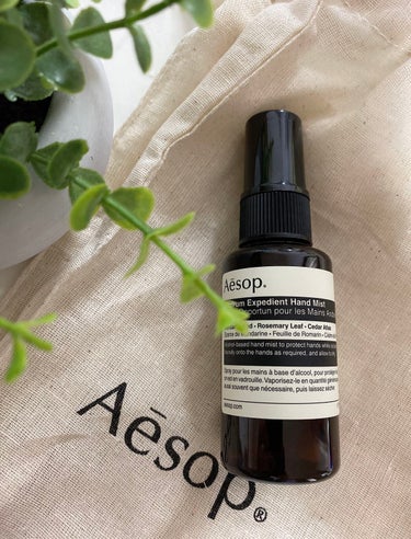 レスレクション エクスペディエント ハンドミスト/Aesop/ハンドクリームを使ったクチコミ（1枚目）