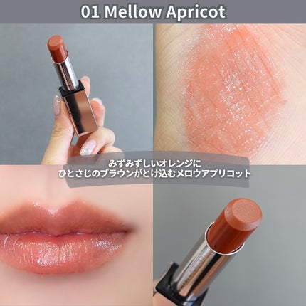 ルナソル ベアカラーバーム EX01 Garnet Calm/LUNASOL/口紅の画像