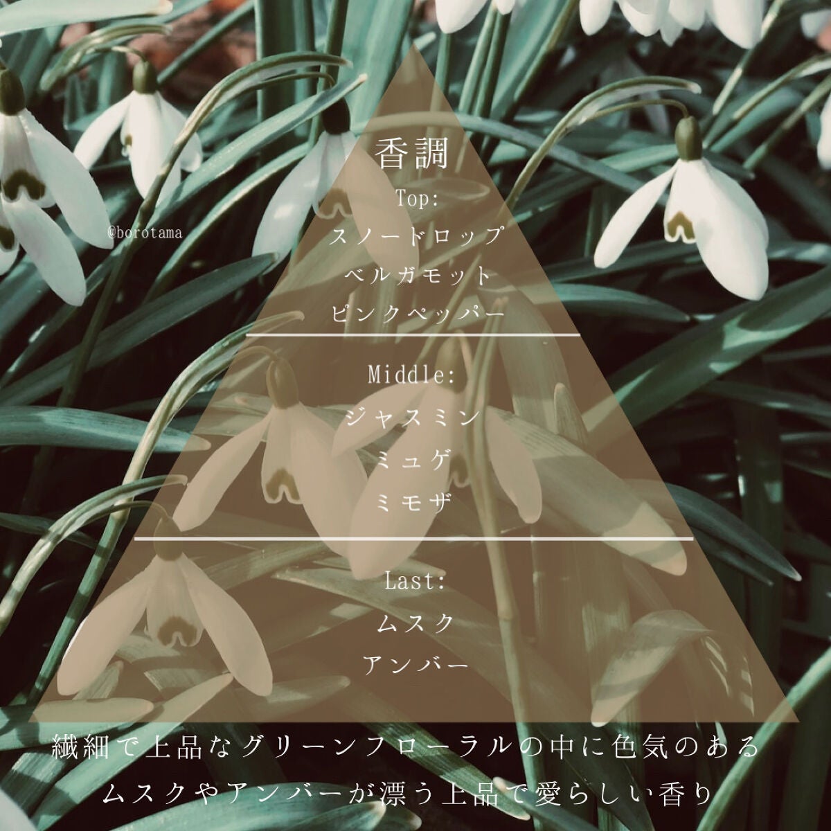 ミューズオブリリー オードパルファン/Flora Notis JILL STUART/香水(レディース)を使ったクチコミ(3枚目)