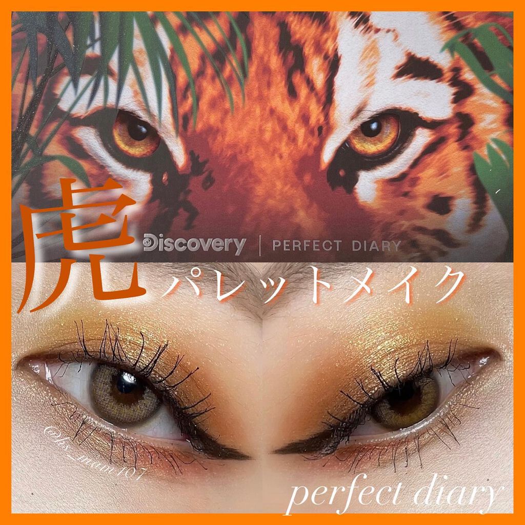 エクスプローラ12色 動物アイシャドウパレット/PERFECT DIARY/アイシャドウパレットを使ったクチコミ(1枚目)