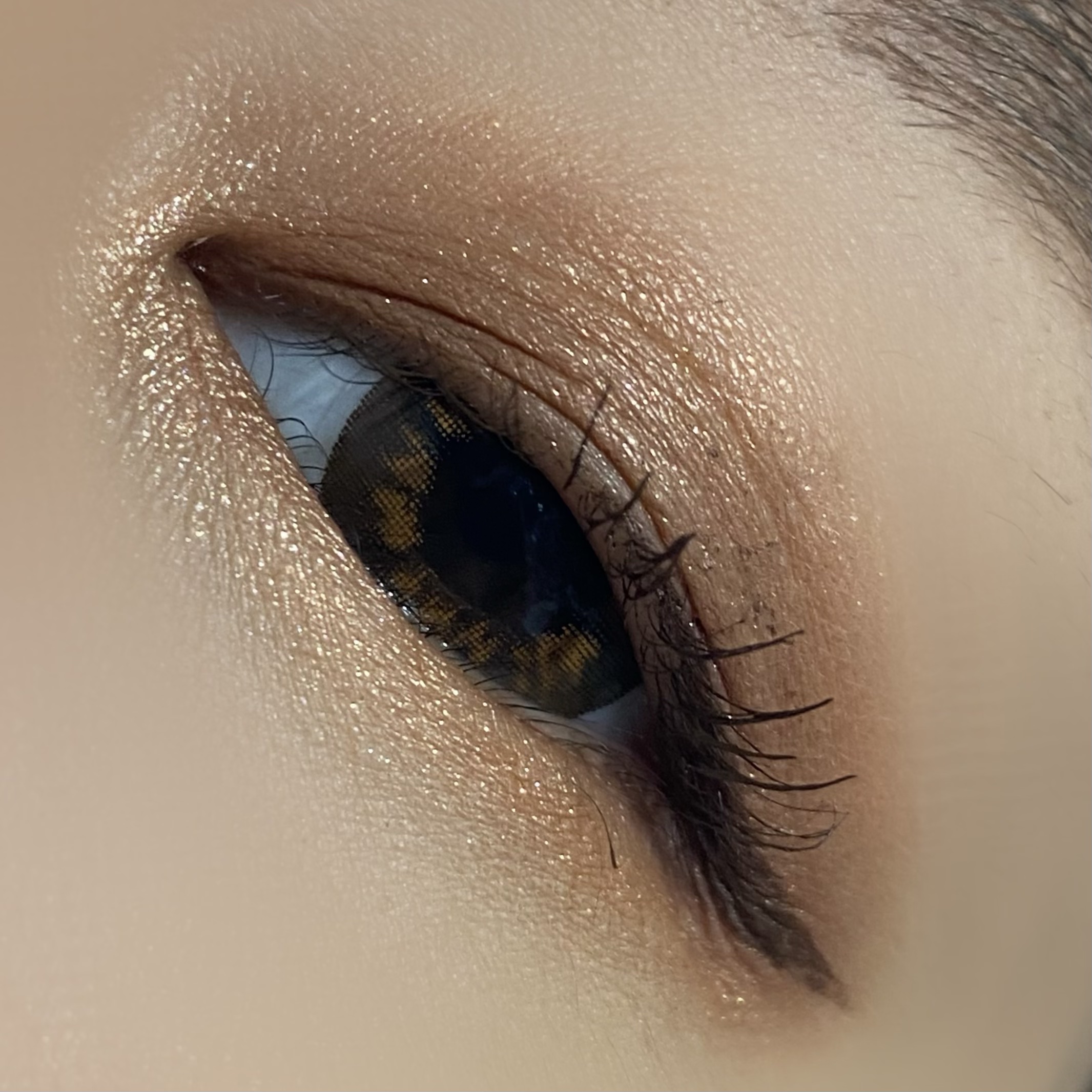 リュクス アイ & チーク パレット/BOBBI BROWN/アイシャドウパレットを使ったクチコミ（3枚目）