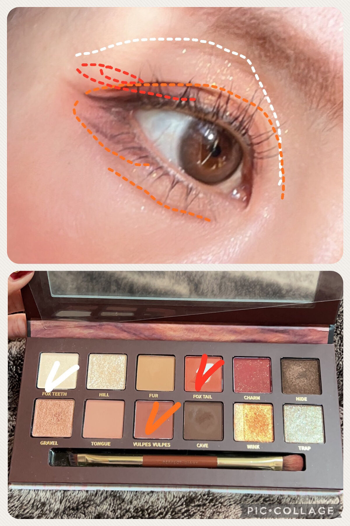 エクスプローラ12色 動物アイシャドウパレット/PERFECT DIARY/アイシャドウパレットを使ったクチコミ（2枚目）