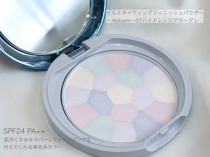 イルミネイティングフィニッシュパウダー ~Abloom~/キャンメイク/プレストパウダーを使ったクチコミ(2枚目)