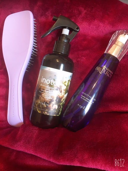 イノート ヘアケアミスト/N./プレスタイリング・寝ぐせ直しを使ったクチコミ(1枚目)