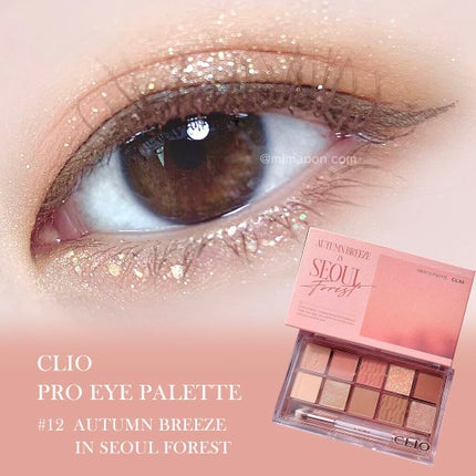 プロ アイ パレット/CLIO/アイシャドウパレットを使ったクチコミ(4枚目)