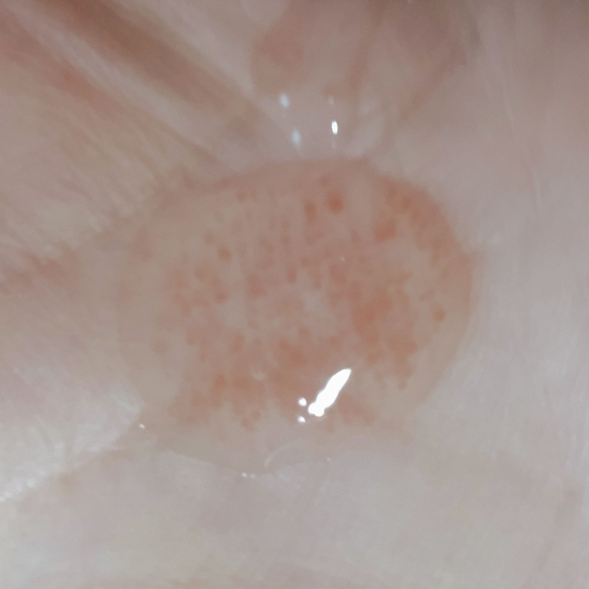 ベネフィーク ローションEX Ⅱ/BENEFIQUE/化粧水を使ったクチコミ（2枚目）