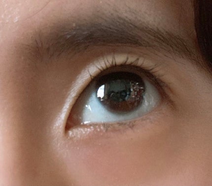 マスカラ ベース(ロング/ボリューム)/FASIO/マスカラ下地を使ったクチコミ(2枚目)